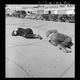 Illustration for article titled Yale Showcases 170,000 Incredible Photos of Depression-Era America